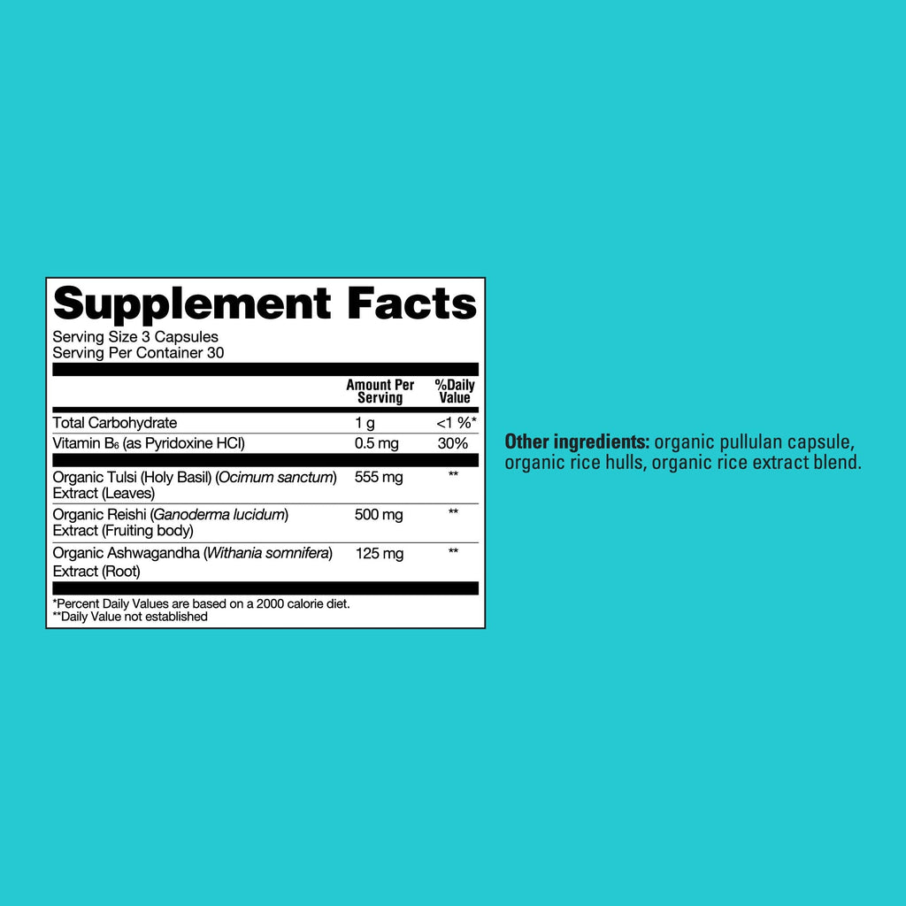 Calm Capsules - Calm Functional Mushroom Capsules