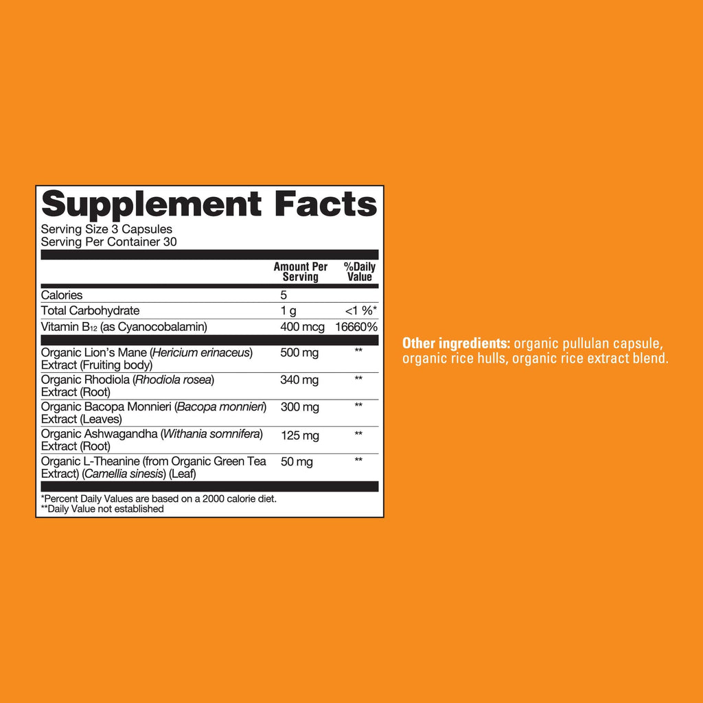 Focus Capsules - Focus Functional Mushroom Capsules