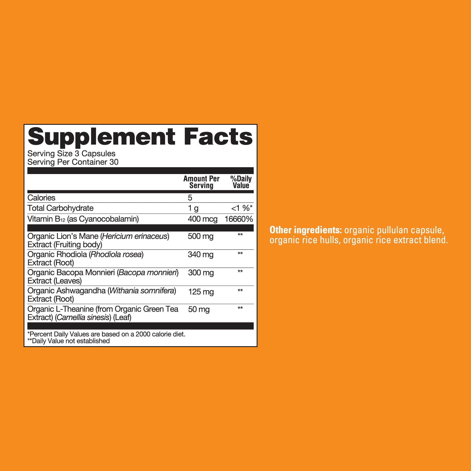 Focus Capsules - Focus Functional Mushroom Capsules