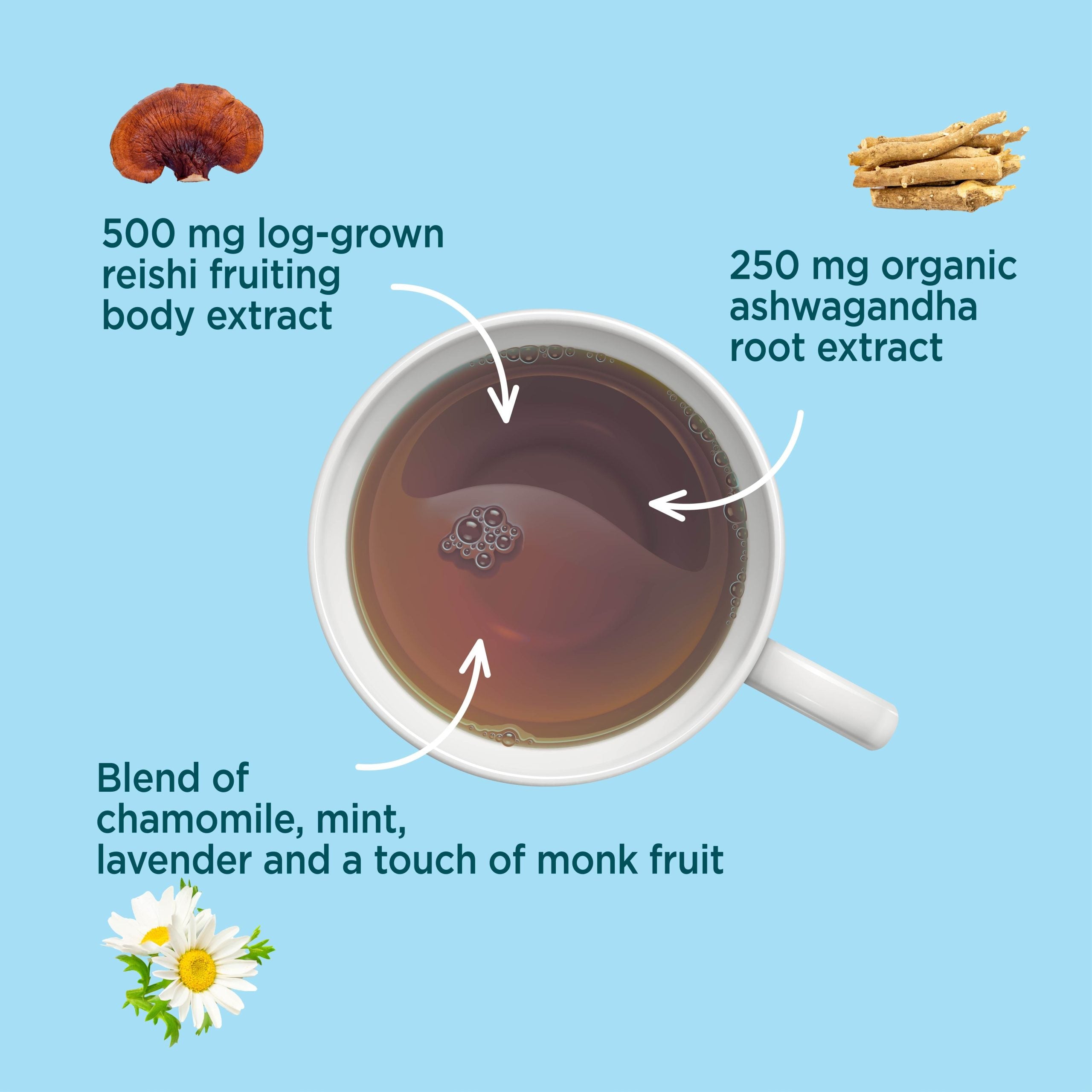 Calm Herbal Tea - Calm Mushroom Tea Blend