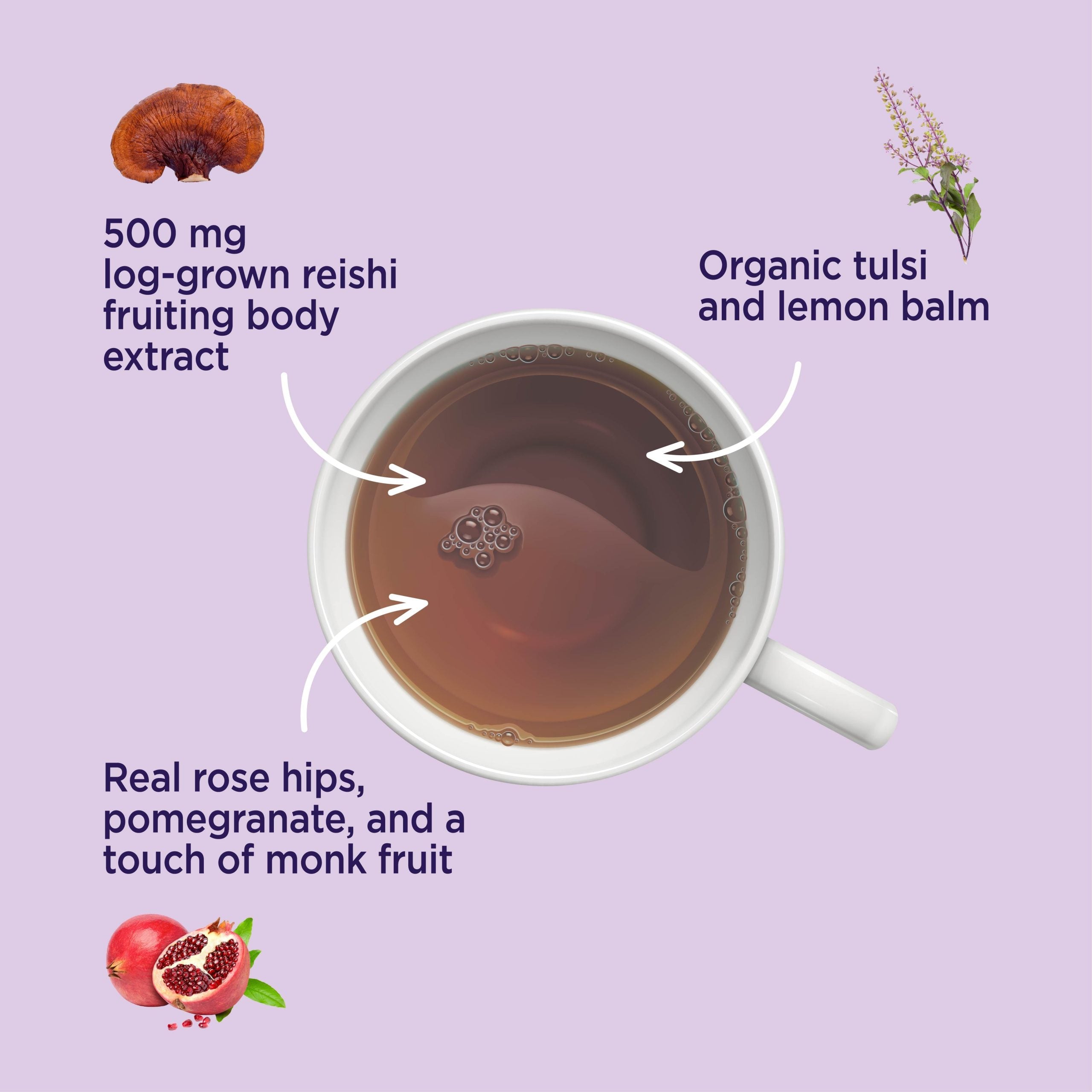 Mood Herbal Tea - Mood Mushroom Tea Blend